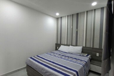 cho-thue-can-ho-penthouse sky garden 3 (4)