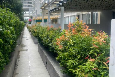 duong-di-phia-truoc-nha-ban