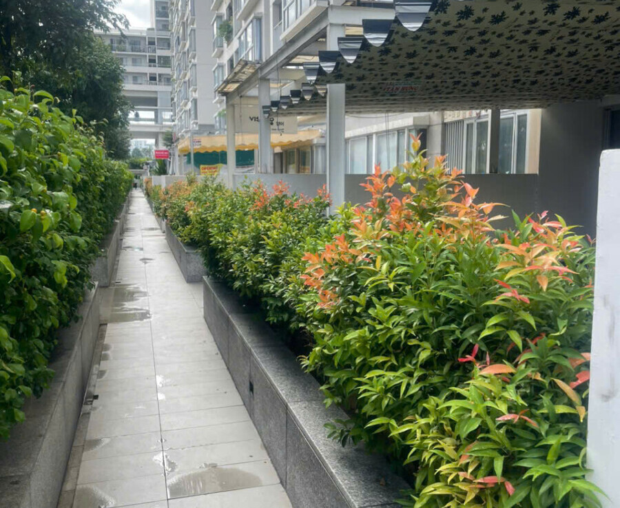 duong di phia truoc nha ban 900x738 - Giá mua bán căn hộ tầng trệt Ground House chung cư Scenic Valley 1 phường Tân Mỹ T11/2025