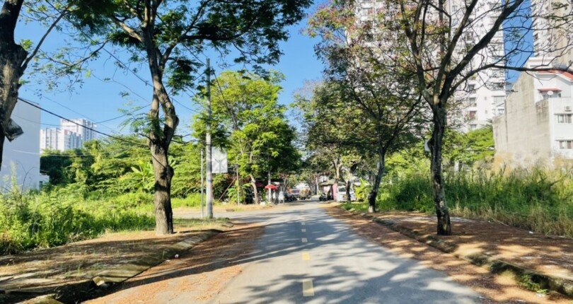 duong noi khu du an 810x430 - Giá mua bán đất nền C51 kdc Tân An Huy Nhà Bè T11/2025