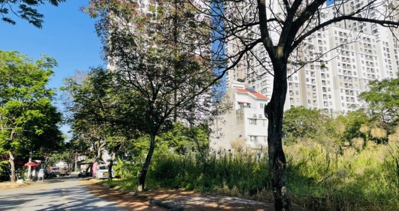 hinh anh mua ban dat nen c51 noi khu tan an huy nha be t11 2025 810x430 - Giá mua bán đất nền C51 kdc Tân An Huy Nhà Bè T11/2025