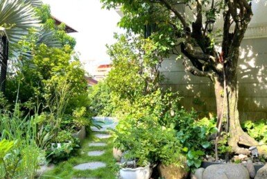 san-vuon-ben-hong-nha-biet-thu-ban