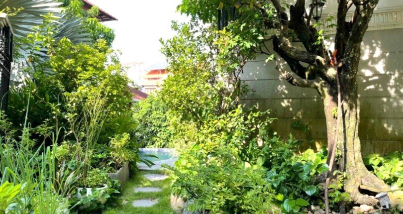 san vuon ben hong nha biet thu ban 810x430 - Giá mua bán nhà Biệt thự đơn lập nguyên căn có hồ bơi Nội khu Nam Thiên 3 phường Tân Hưng T11/2025