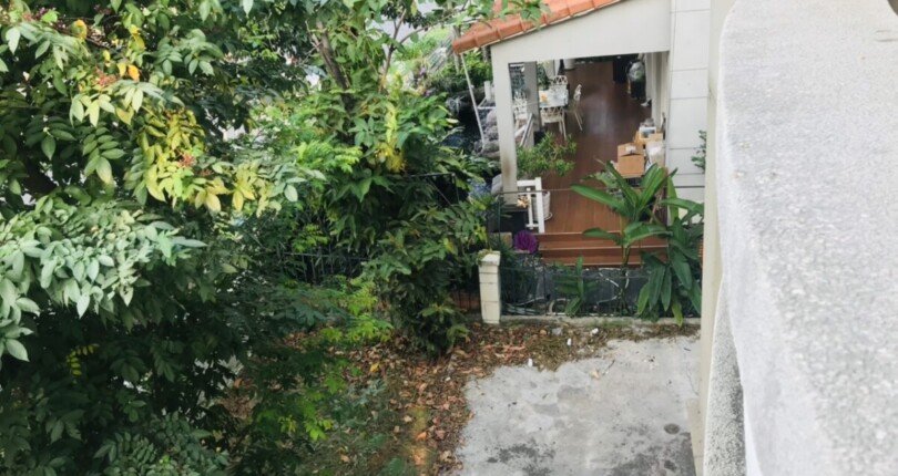 san vuon nha biet thu ban 810x430 - Giá mua bán nhà Biệt thự nguyên căn góc Nội khu Phú Gia phường Tân Hưng T11/2025