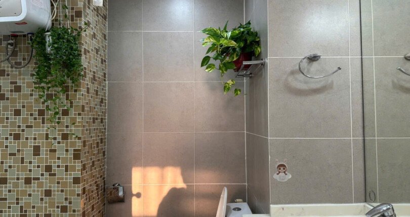 tollet can ho ban 13 810x430 - Bán căn hộ 03pn, chung cư Sky Garden 3, diện tích 100m2, nhà đang có hợp đồng thuê 27tr/tháng, giá 8 tỷ.