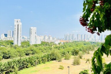 view-can-ho-cho-thue