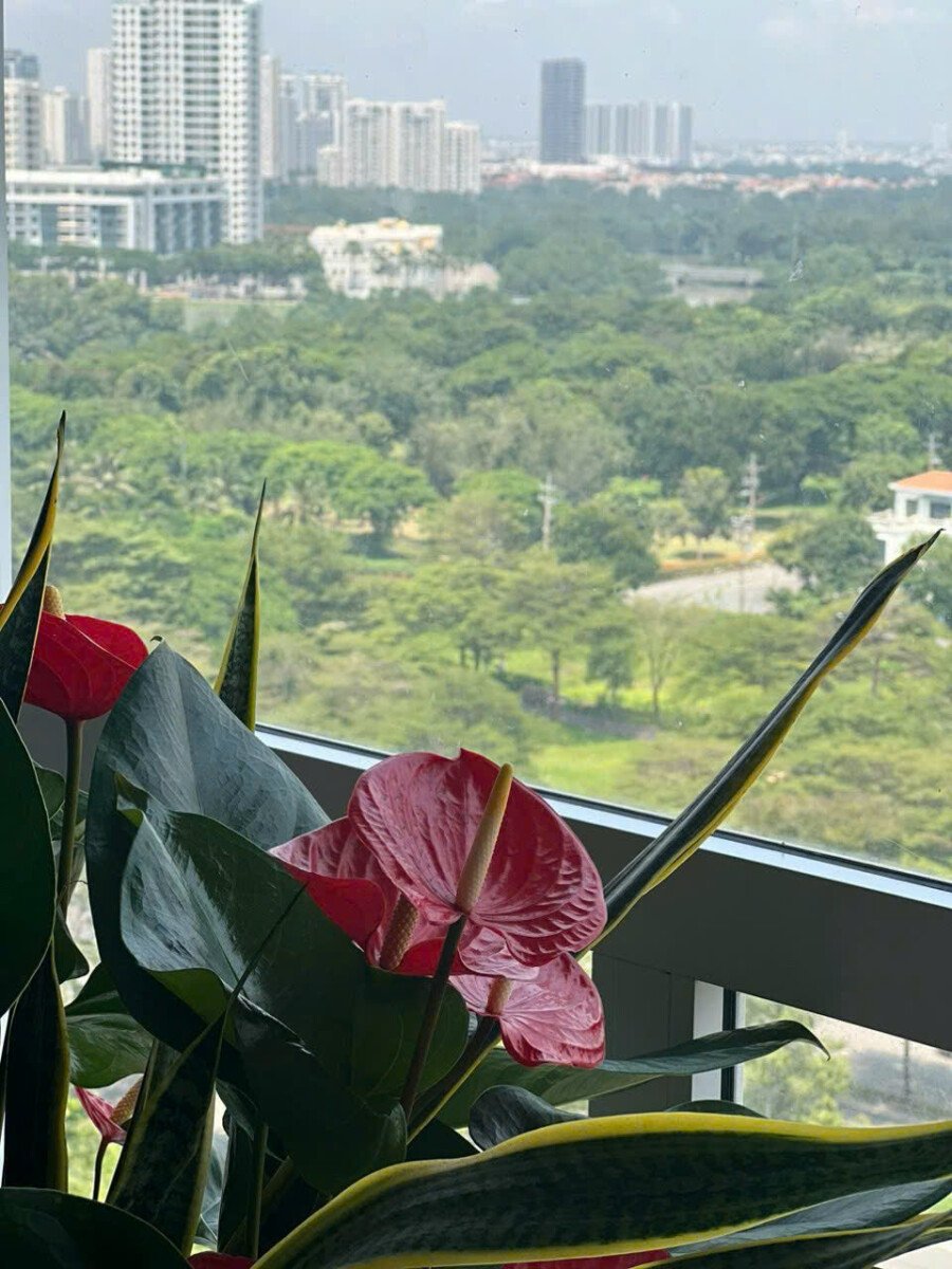 ban can ho happy valley 10 - Bán căn hộ Happy Valley DT 135m2 Lầu cao- View đông nam- 3 Phòng ngủ-2wc- Nội thất đầy đủ- Giá bán 12 Tỷ