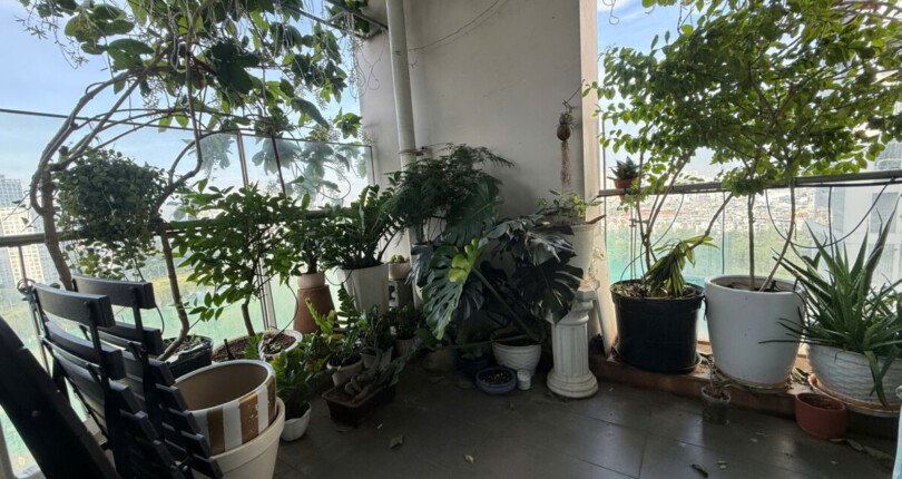 Giá mua bán căn hộ 3pn số 04 tòa B chung cư Green Valley phường Tân Mỹ T12/2025