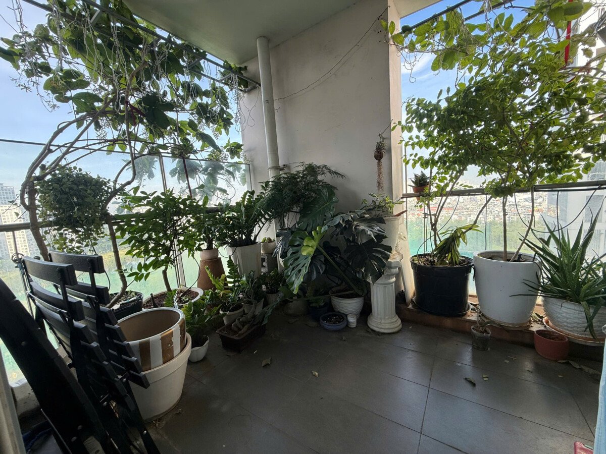 ban cong phong khach can ho rong rai - Giá mua bán căn hộ 3pn số 04 tòa B chung cư Green Valley phường Tân Mỹ T12/2025