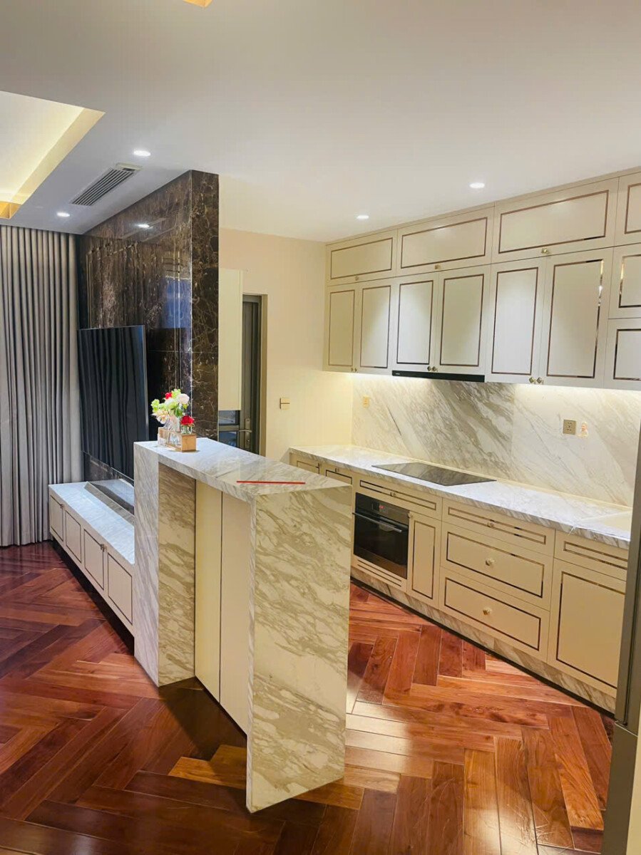 can canh bep mo rong rai - Giá mua bán căn hộ 2pn tòa B chung cư Riverpark Premier phường Tân Hưng T1/2026