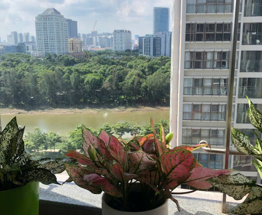 cho thue can ho midtown 12 900x738 - Cho thuê căn hộ Midtown Phú Mỹ Hưng. DT 84m2 Nhà đẹp thiết kế 2 Phòng-2wc- View nội khu- Giá thuê 25 Triệu/Tháng