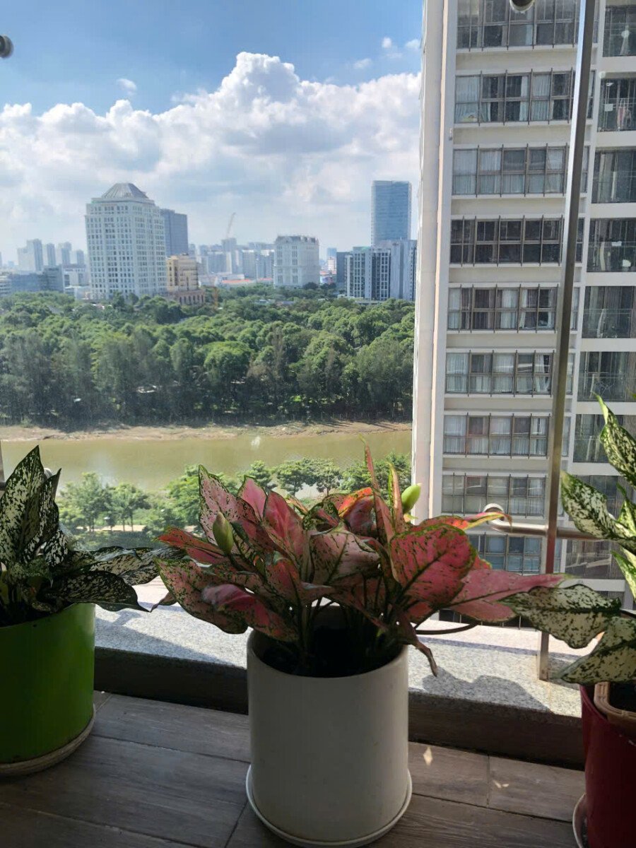 cho thue can ho midtown 12 - Cho thuê căn hộ Midtown Phú Mỹ Hưng. DT 84m2 Nhà đẹp thiết kế 2 Phòng-2wc- View nội khu- Giá thuê 25 Triệu/Tháng