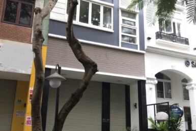 hinh anh mua ban nha 61 phan khiem ich phuong tan hung t12 2025 385x258 - Giá mua bán nhà nguyên căn 61 Phan Khiêm Ích phường Tân Hưng T12/2025