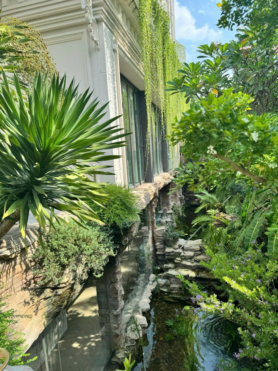 san vuon ben hong nha biet thu ban - Giá mua bán nhà Biệt thự góc Đường số 23 kdc Nam Thông 2D phường Tân Mỹ t12/2025