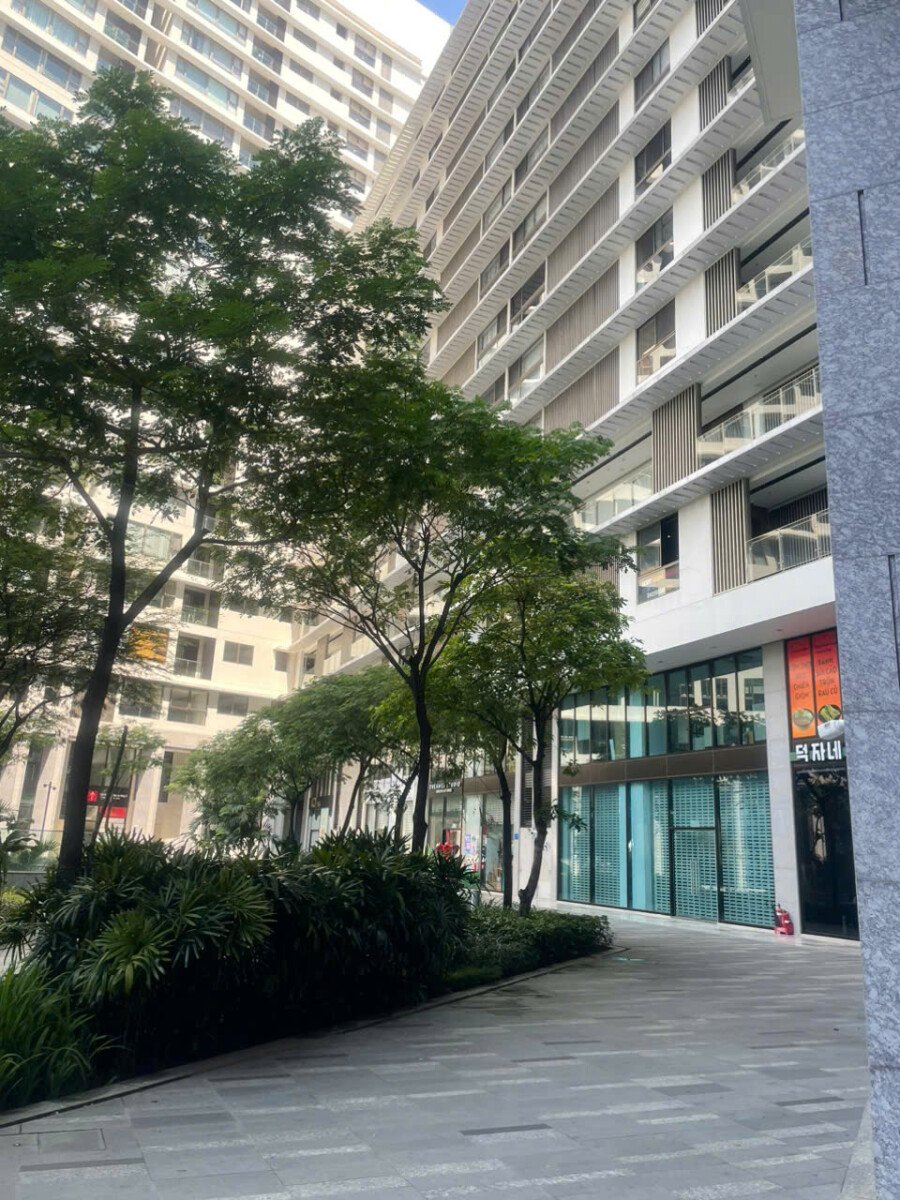 vi tri shophouse ban lien ke cong vien noi khu - Giá mua bán Shophouse C002 khối đế tòa C chung cư The Peak phường Tân Mỹ T12/2025