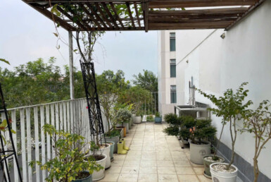 balcony can ho rong rai 385x258 - Giá mua bán căn hộ sân vườn lầu 3 chung cư Garden Court 1 phường Tân Hưng T1/2026