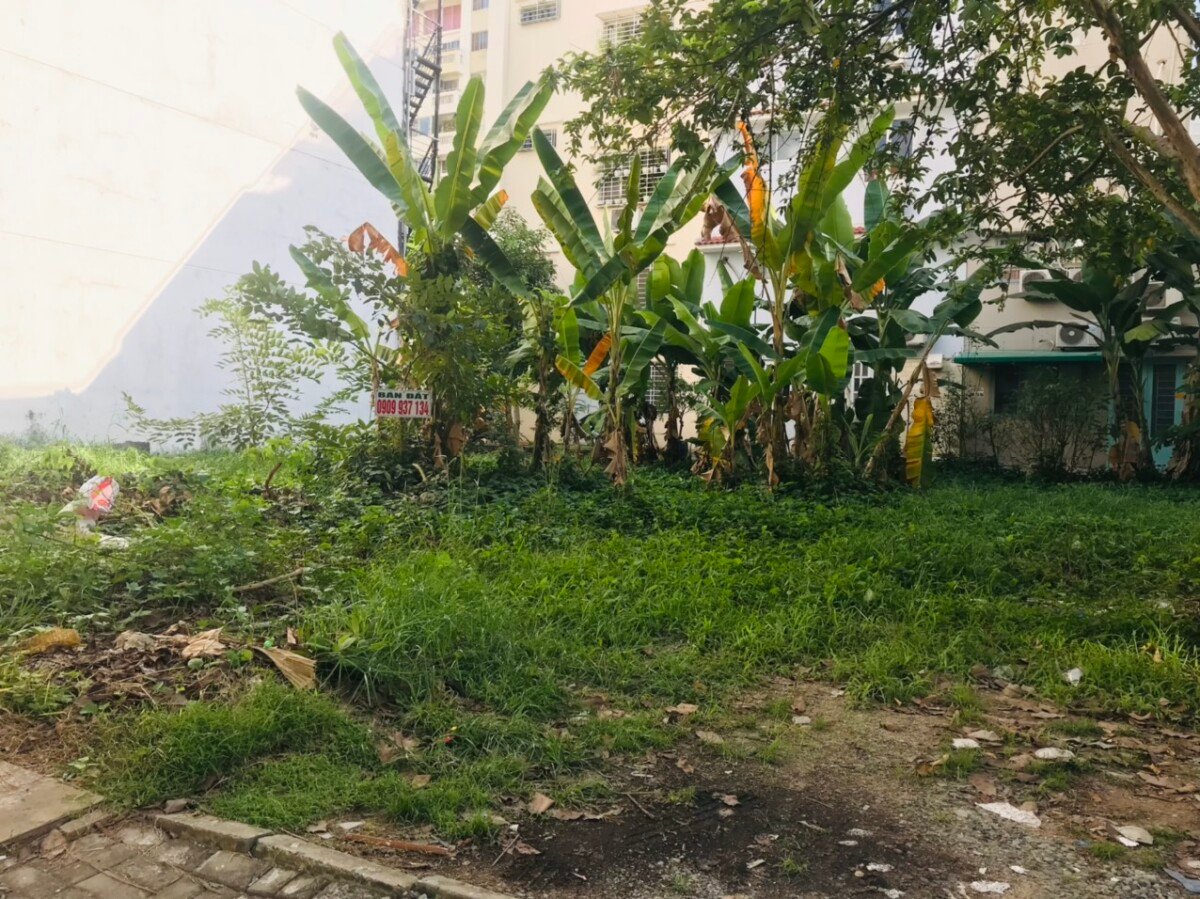 dat nen ban - Giá mua bán cặp đất nền xây tòa nhà văn phòng đường Nội khu Mỹ Toàn 2 Phú Mỹ Hưng T1/2026