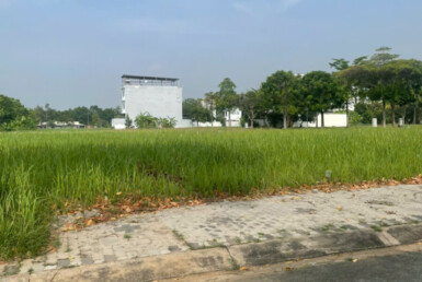 hinh anh mua ban dat nen kdc phu xuan vph t1 2026 385x258 - Giá mua bán đất nền Khu dân cư Phú Xuân Vạn Phát Hưng Nhà Bè T1/2026