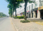 vi-tri-shophouse-mat-duong-nguyen-van-linh-phuong-tan-hung