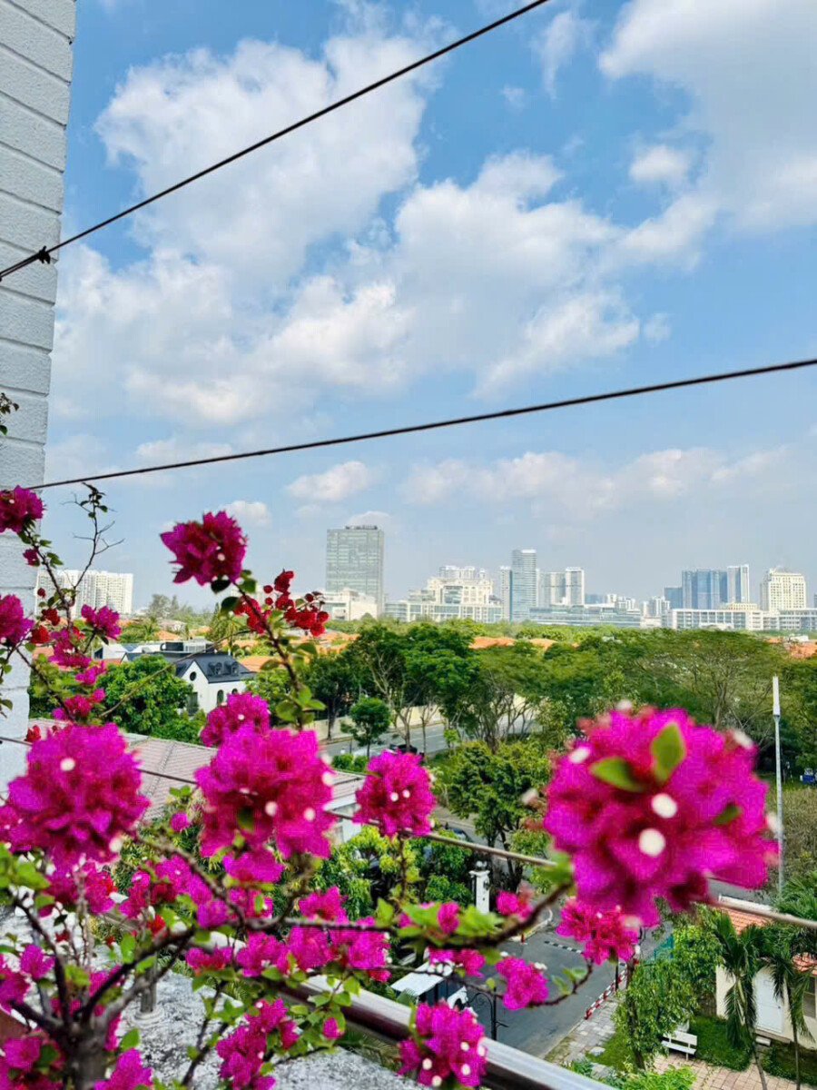 view balcony can ho ban - Giá mua bán Penthouse 4pn chung cư Mỹ Tú 1 phường Tân Hưng T1/2026