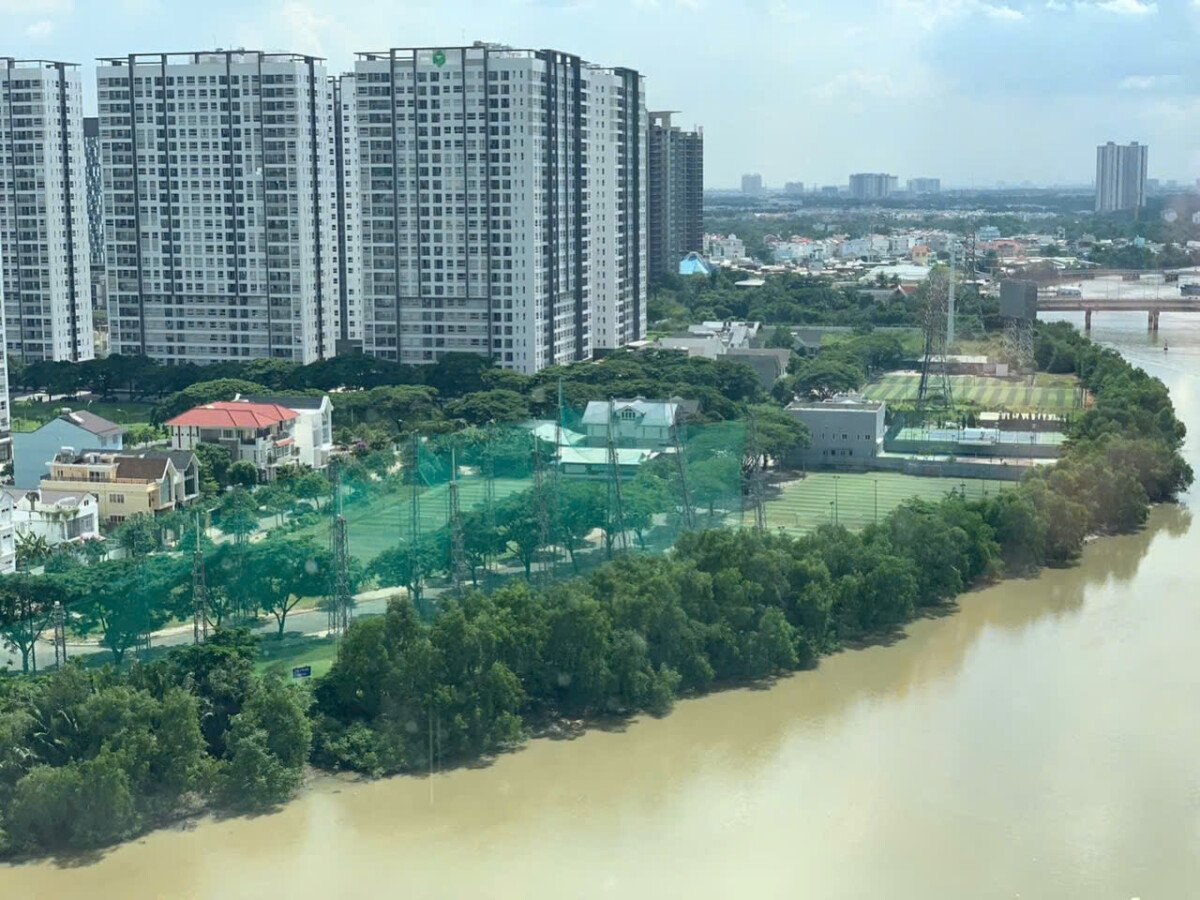 can ho ban lien ke song - Giá mua bán căn hộ 3pn chung cư Riverpark Premier phường Tân Hưng T3/2026