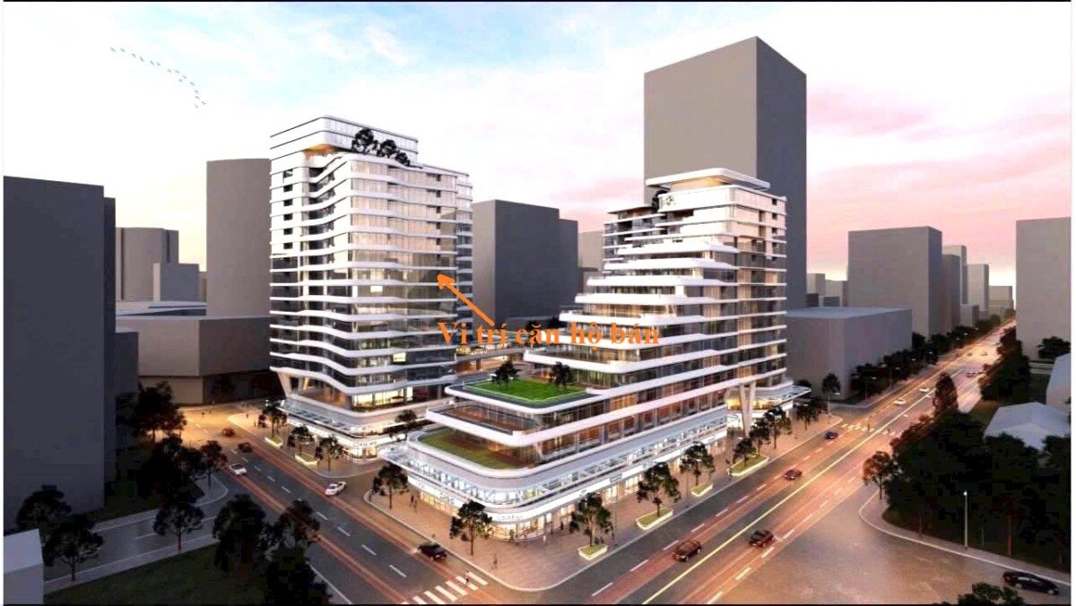 hinh anh mua ban can ho 3pn chung cu triton crown phuong tan my t3 2026 - Giá mua bán căn hộ 3pn tòa B chung cư Triton Crown phường Tân Mỹ T3/2026