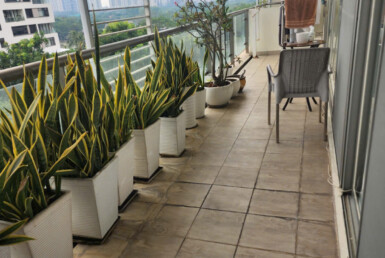 balcony can ho ban 385x258 - Giá mua bán căn hộ 3pn tòa B chung cư Garden Plaza 1 phường Tân Hưng T3/2026