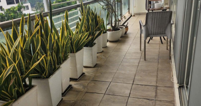 Giá mua bán căn hộ 3pn tòa B chung cư Garden Plaza 1 phường Tân Hưng T3/2026
