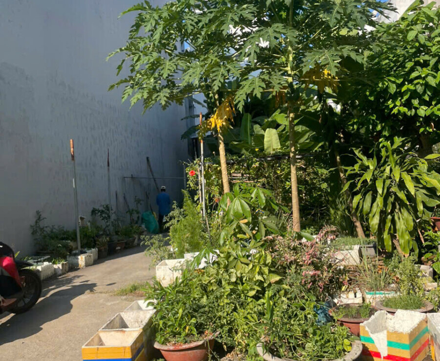 hinh anh mua ban dat nen kdc sadeco phuoc kien nha be t4 2026 900x738 - Giá mua bán đất nền mặt Đường số 18 kdc Sadeco Phước Kiển Nhà Bè T4/2026