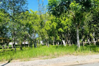 Giá mua bán đất nền Đường số 22 kdc Phú Xuân VPH Nhà Bè T4/2026