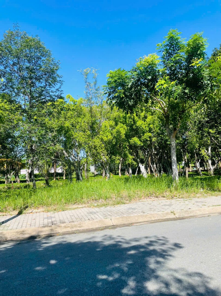 hinh anh mua ban dat nen lo day a6 kdc phu xuan vph nha be t4 2026 - Giá mua bán đất nền Đường số 22 kdc Phú Xuân VPH Nhà Bè T4/2026