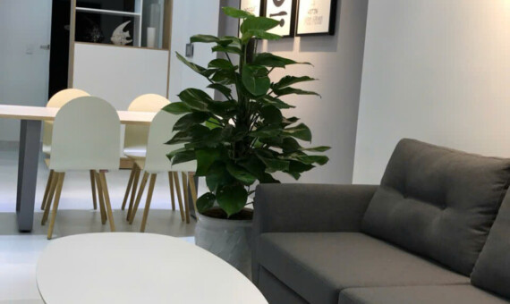 nha dep cho thue 570x340 - Trang chủ