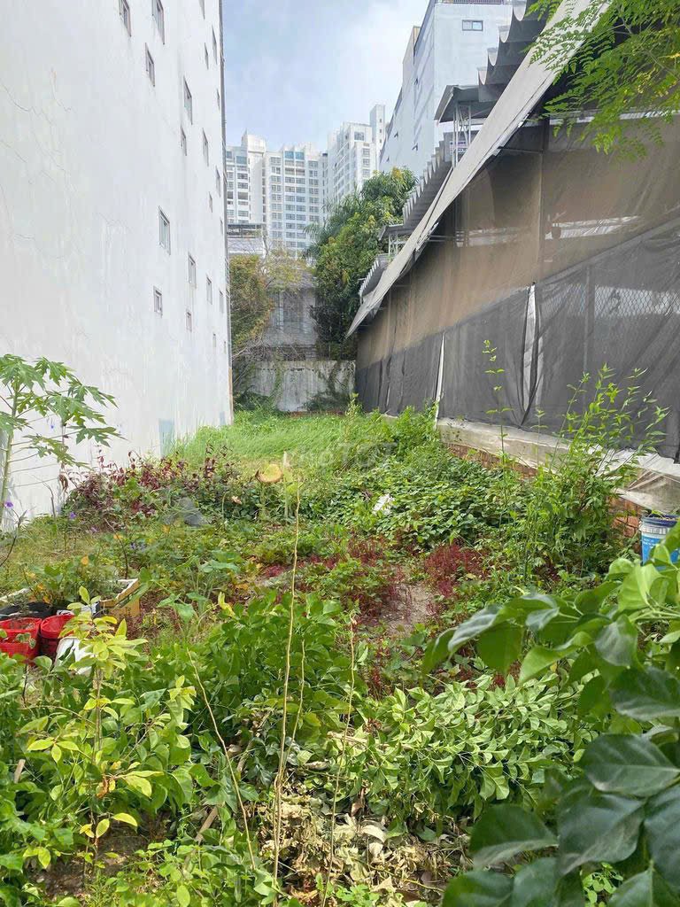 hinh anh mua ban dat nen kdc lang dai hoc nha be t5 2026 - Giá mua bán đất nền nhà phố mặt Đường B7 kdc Làng Đại Học Nhà Bè T5/2026