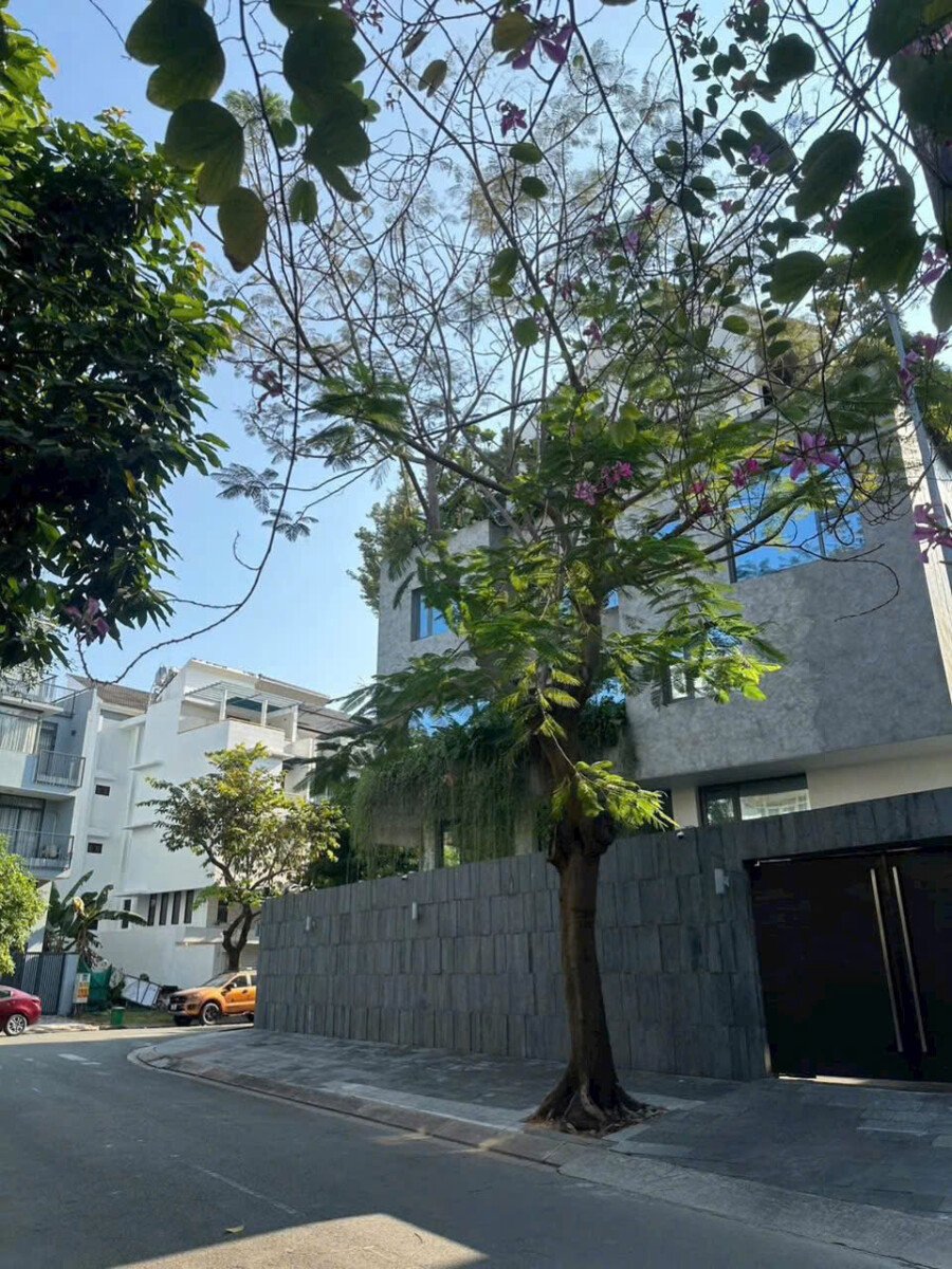 kdc van min hien dai da co nhieu nha xay dung - Giá mua bán đất nền nhà phố đường Nội khu KDC Phú Mỹ phường Tân Mỹ T4/2026