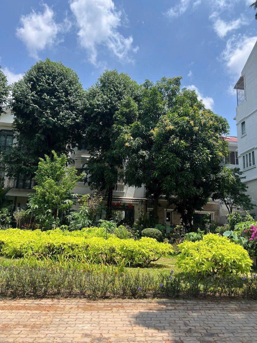 vi tri nha biet thu lien ke cong vien noi khu 1 - Giá mua bán nhà Biệt thự nguyên căn mặt đường Nội Khu Mỹ Thái 1A phường Tân Mỹ T5/2026