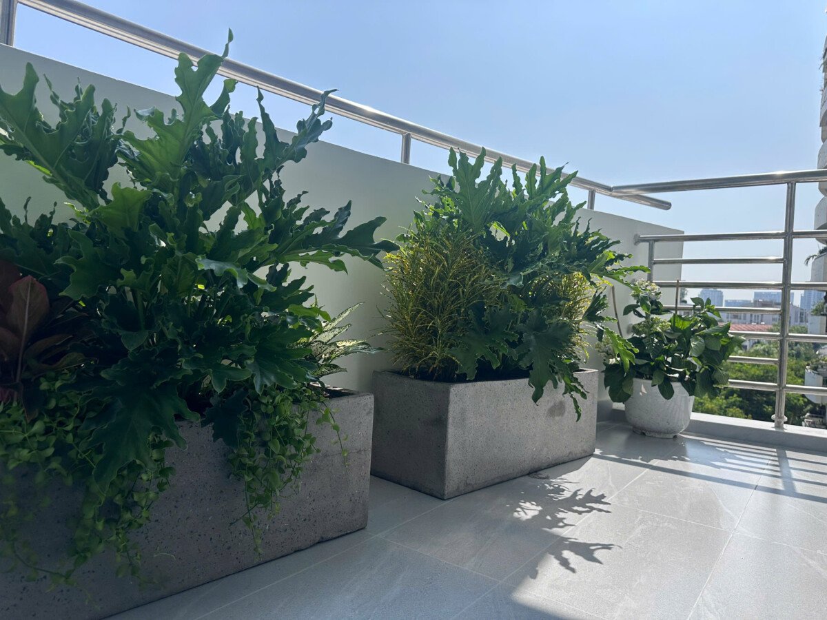 balcony can ho rong rai - Giá mua bán căn hộ 3pn chung cư Mỹ Phúc phường Tân Hưng HCM T5/2026