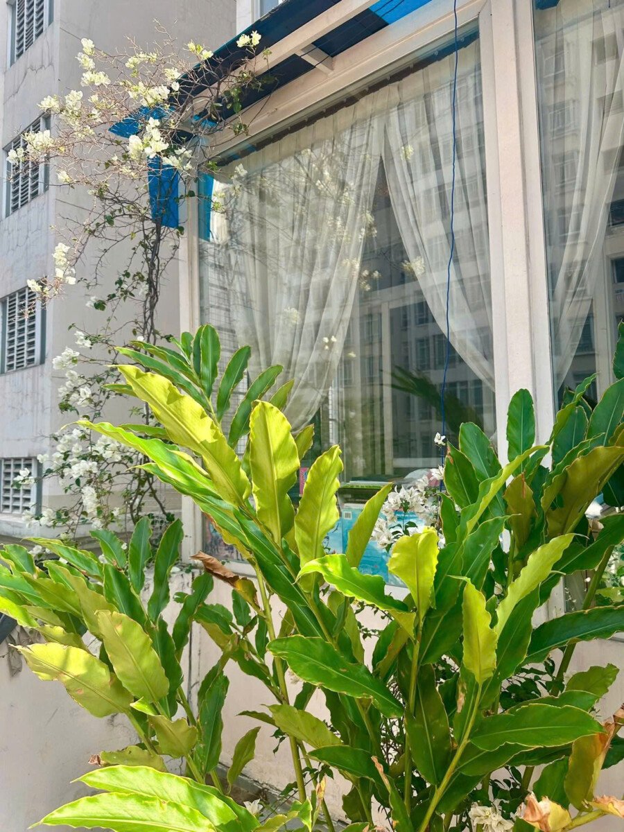 cho thue can ho san vuon sky 3 1 - Cần cho thuê căn hộ có sân vườn tại Sky Garden 3. DT 100m2 Thiết kế 3 Phòng-2wc- Giá thuê 18 Triệu/Tháng