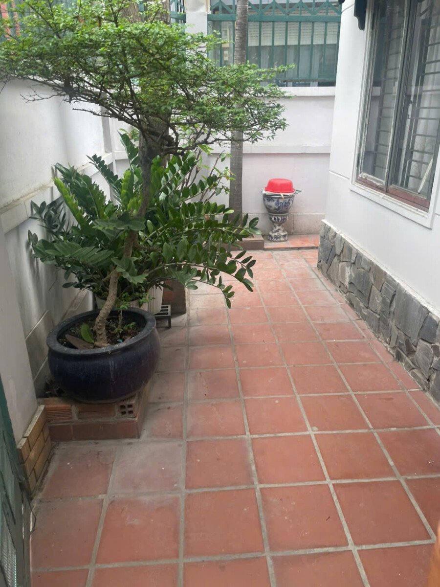 san vuon trong nha ban - Giá mua bán tòa nhà CHDV căn góc số 21 đường Lý Phục Man phường Tân Thuận T5/2026