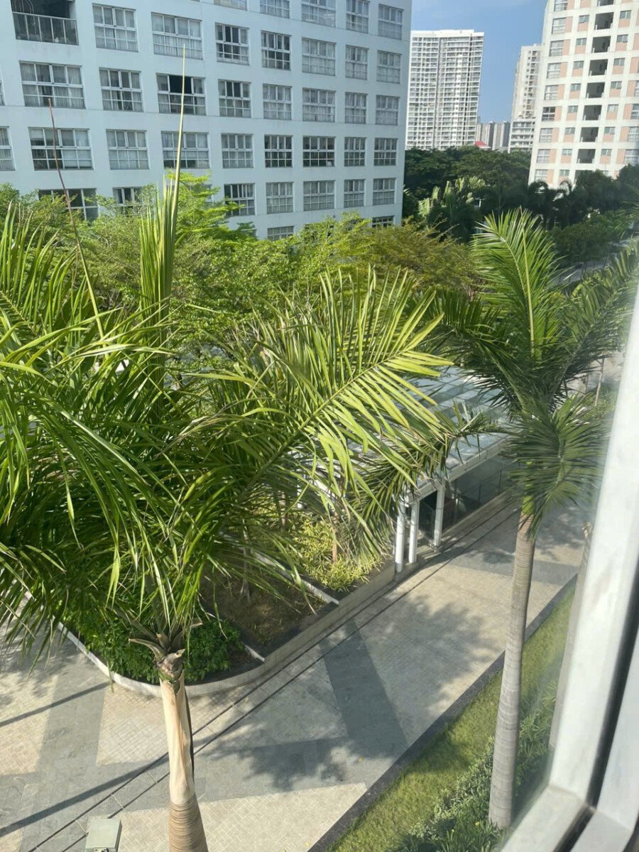 vi tri can ho ban lien ke cong vien noi khu - Giá mua bán căn hộ 3pn 115m2 chung cư Happy Valley phường Tân Hưng T6/2026