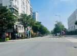 vi-tri-shophouse-mat-duong-raymondienne-phuong-tan-my