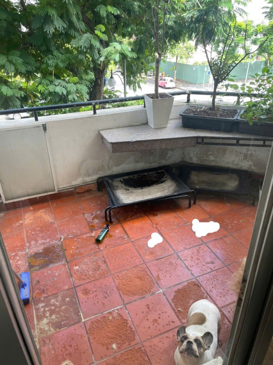 balcony phong khach can ho ban - Giá mua bán căn hộ 3pn tòa K chung cư Hưng Vượng 2 phường Tân Hưng T6/2026