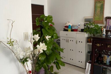 ban can ho sky garden 3 6 1 385x258 - Mua b&aacute;n căn hộ chung cư Sky Garden Phường T&acirc;n Hưng gi&aacute; rẻ