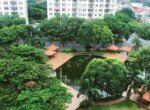 can-cho-thue-can-ho-canh-vien-3 (11)