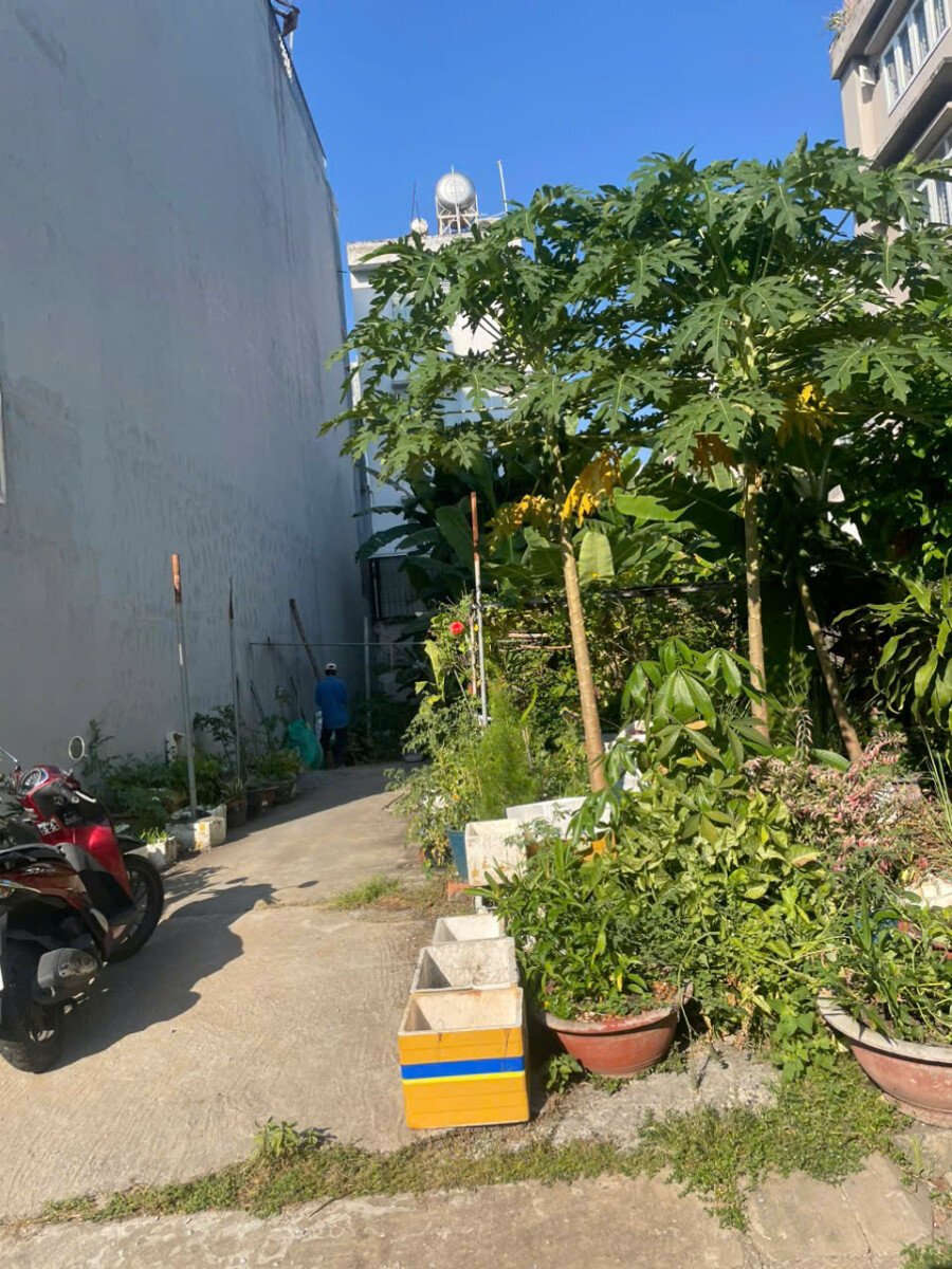 hinh anh mua ban dat nen sadeco phuoc kien nha be t6 2026 - Giá mua bán đất nền mặt Đường số 18 kdc Sadeco Phước Kiển Nhà Bè T6/2026