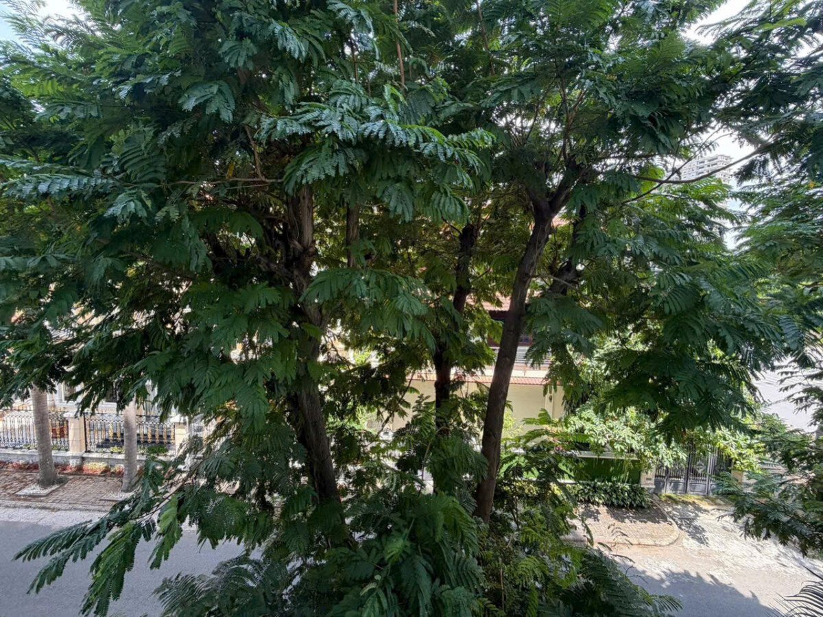 vi tri can ho lau trung lien ke cong vien cay xanh - Giá mua bán căn hộ 3pn diện tích 124m2 chung cư Mỹ Khang phường Tân Mỹ T6/2026