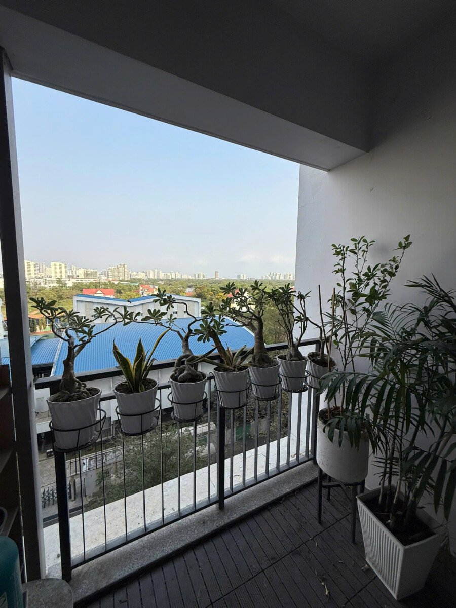 view balcony can ho 1 - Giá mua bán căn hộ 2pn 75m2 view sông chung cư Saigon South Nhà Bè T6/2026