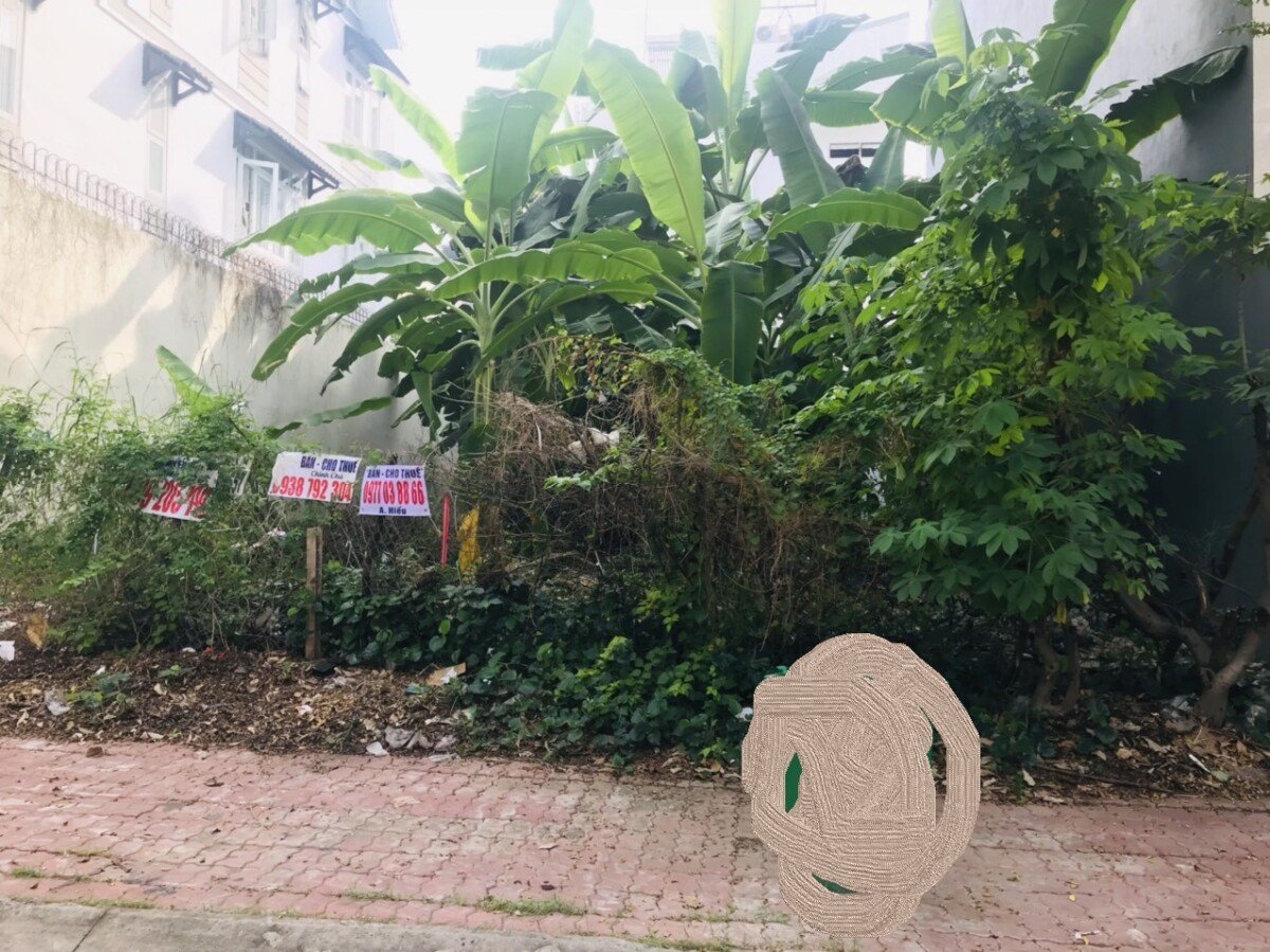 hinh anh mua ban dat nen a145 kdc kim son phuong tan hung t7 2026 - Giá mua bán đất nền Biệt thự lô A145 Đường số 4 kdc Kim Sơn phường Tân Hưng T7/2026