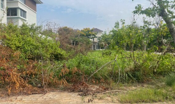hinh anh mua ban dat nen kdc phu xuan cotec t7 2026 570x340 - Trang chủ