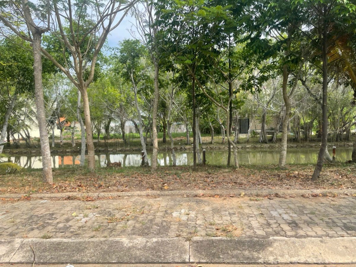 vi tri dat nen ban gan cong vien noi khu - Giá mua bán đất nền dãy A3 mặt Đường số 8 kdc Phú Xuân VPH Nhà Bè T8/2026