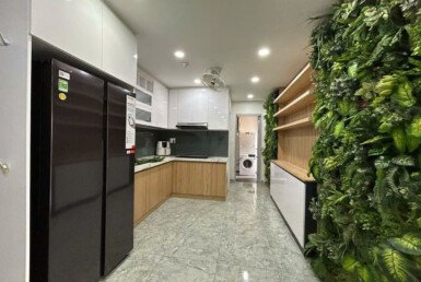 Cho thuê căn hộ Blook D chung cư Scenic Valley 1, 03pn, giá 33tr/tháng, đủ nội thất.